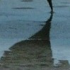 Schwimmstein